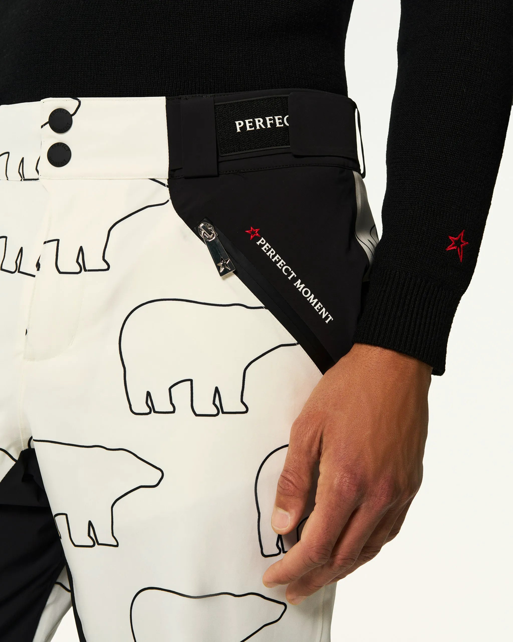 Bear Print