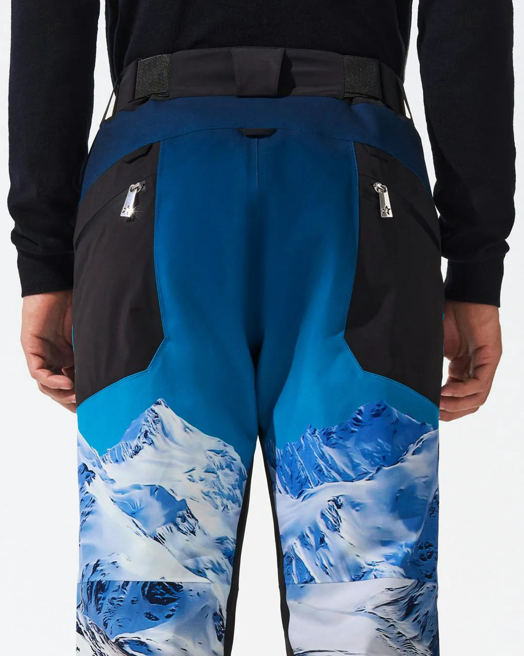 Bear Print